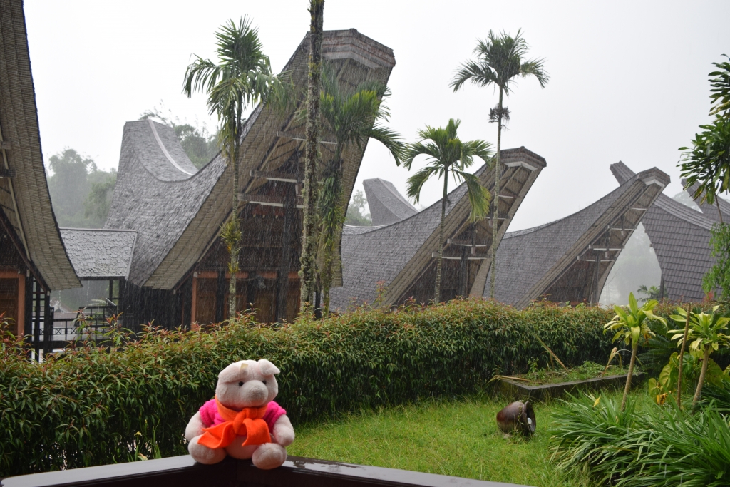 Knorf in een regenachtig Toraja, Indonesië.