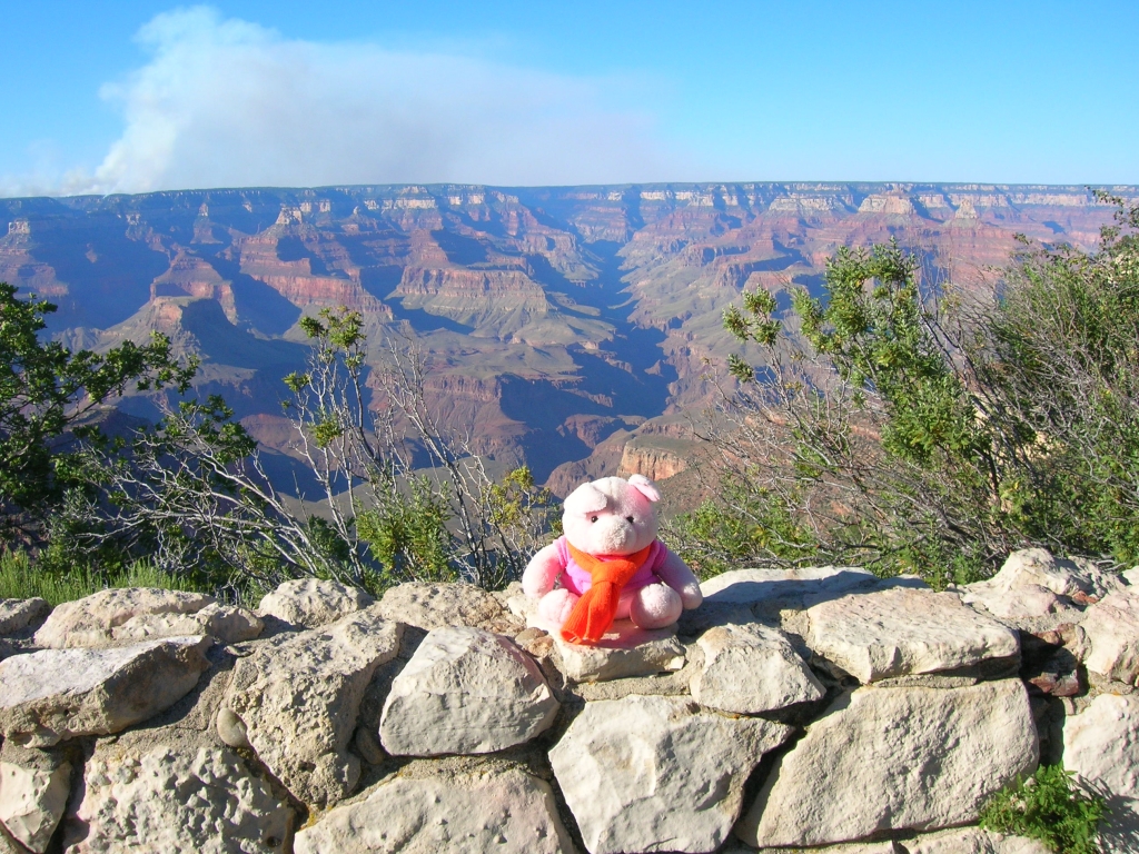 Knorf bij de Grand Canyon in de Verenigde Staten.