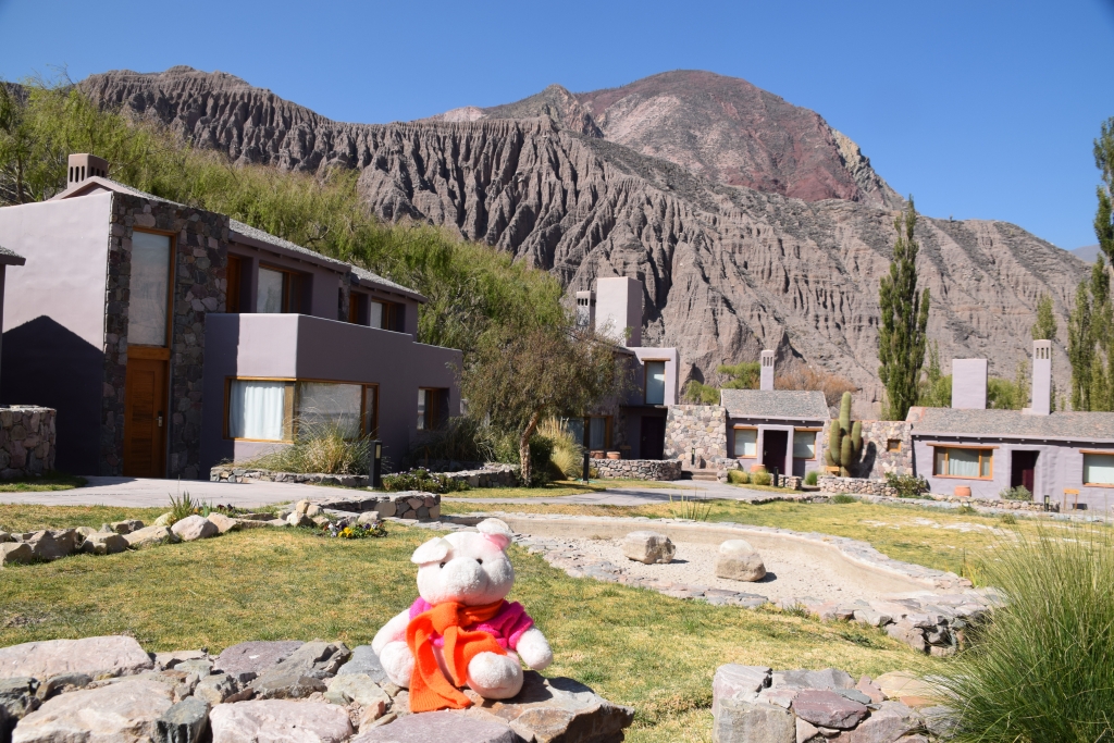 Knorf in Purmamarca, Argentinië.